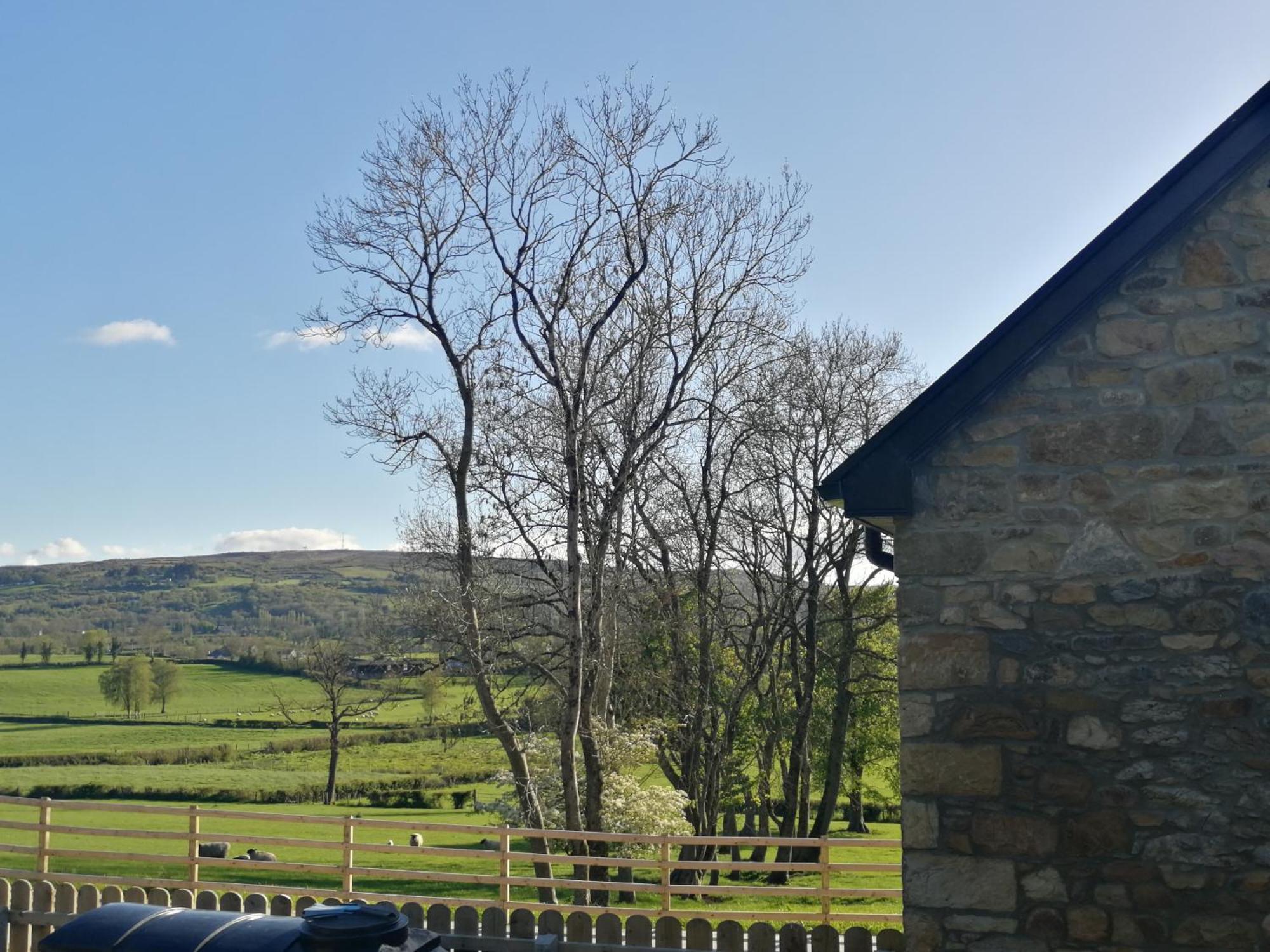 Knockninny Barn At Upper Lough Erne, County Fermanagh Enniskillen Luaran gambar