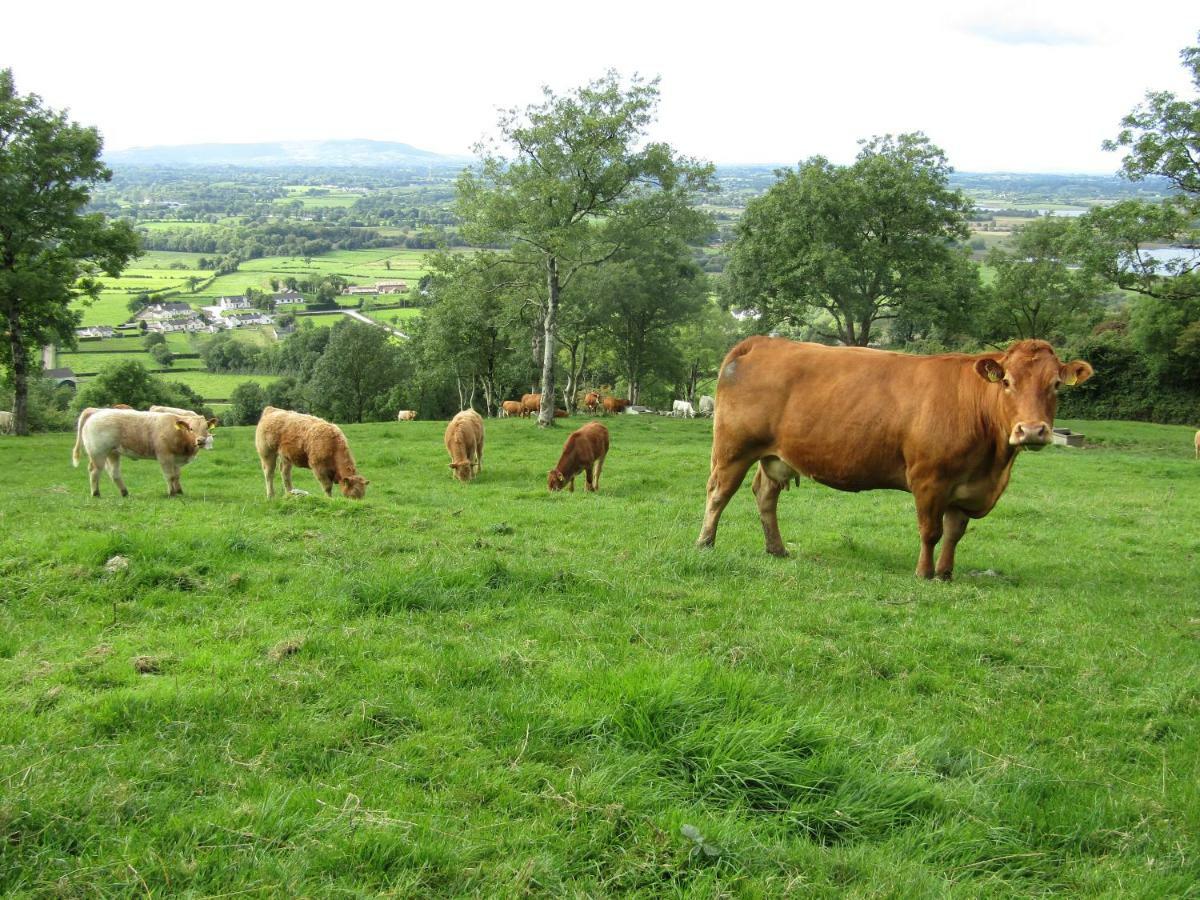 Knockninny Barn At Upper Lough Erne, County Fermanagh Enniskillen Luaran gambar